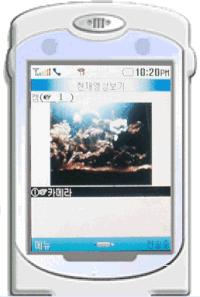 사용자 삽입 이미지